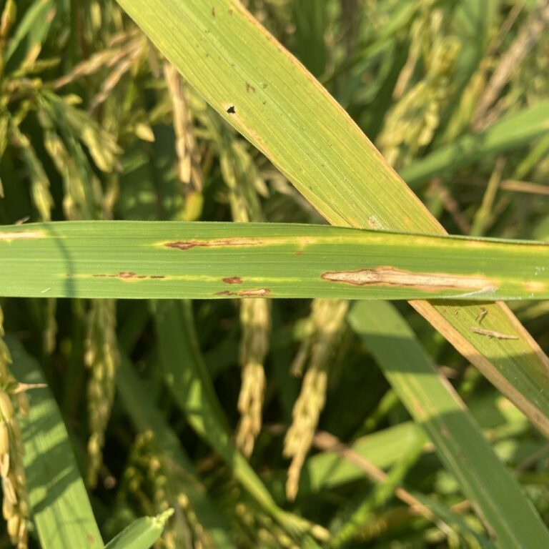 85e251fbbe56110848472