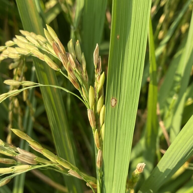 febde9ab0606a958f0171