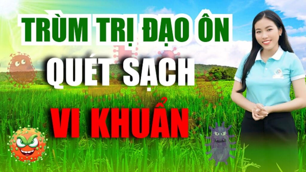 GIẢI PHÁP QUẢN LÝ ĐẠO ÔN LÚA